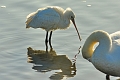 08 02 15_1418_edited-1